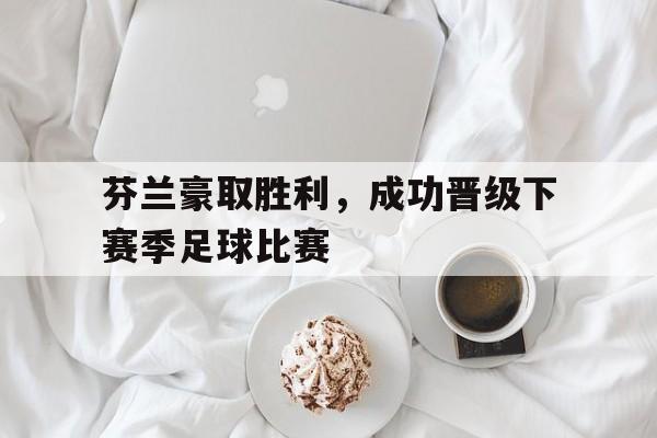 芬兰豪取胜利，成功晋级下赛季足球比赛